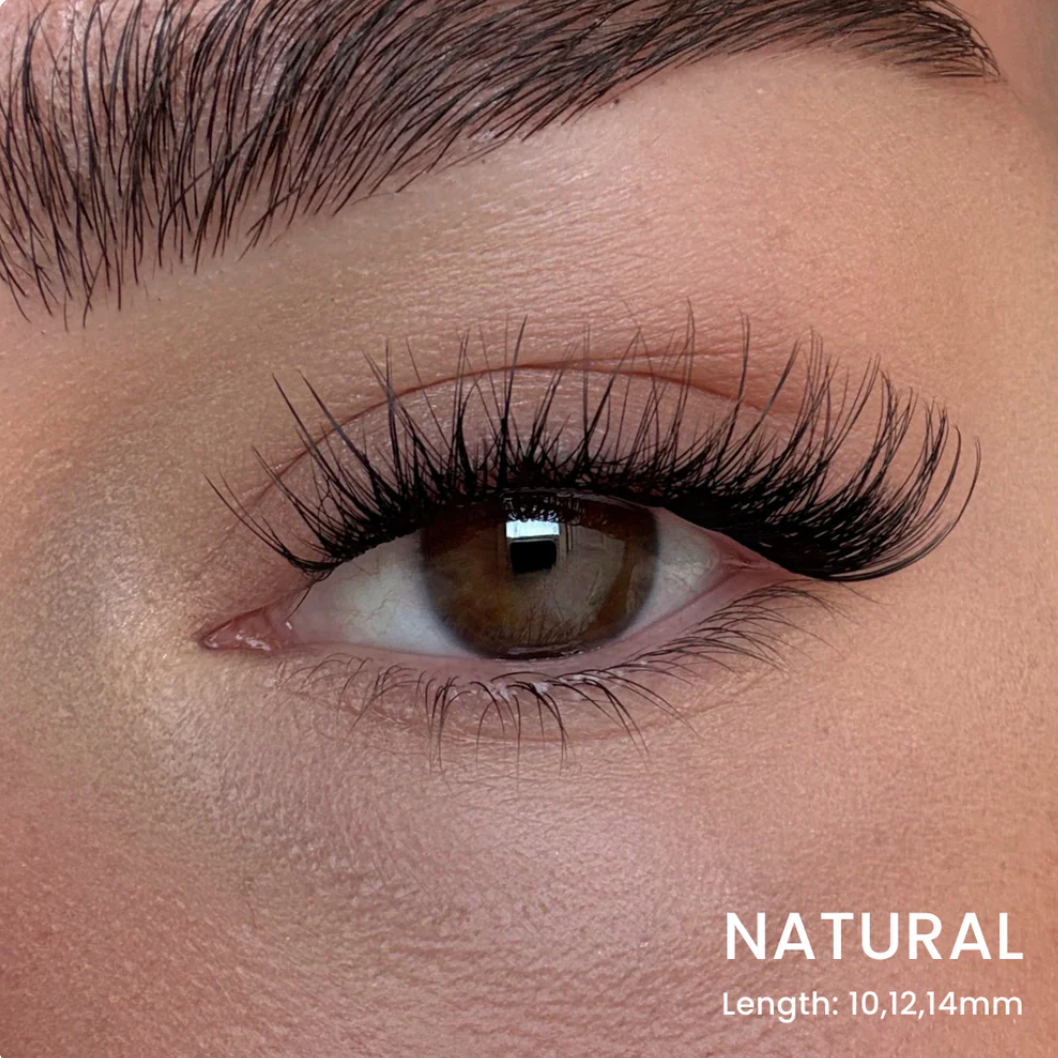 Hera Lash Starter Kit