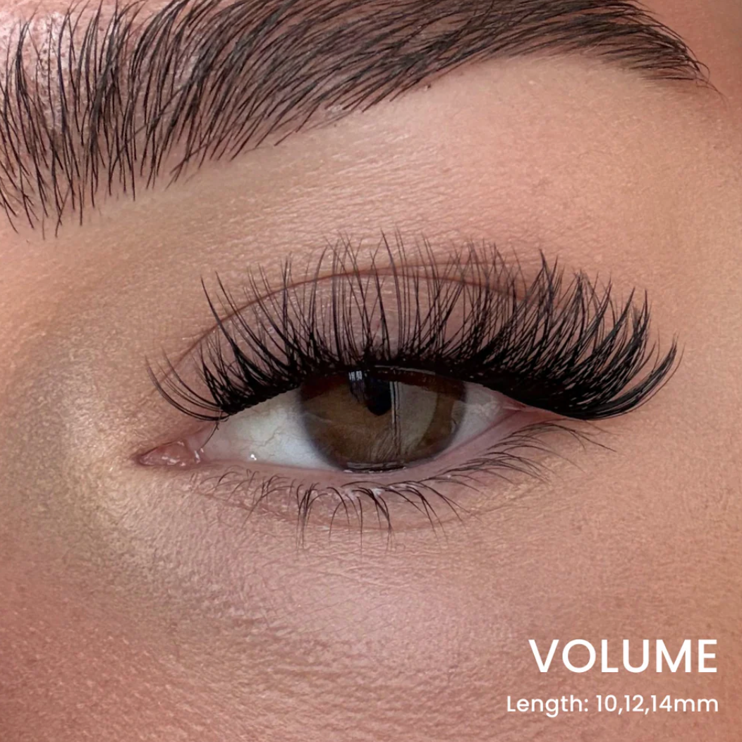 Hera Lash Starter Kit