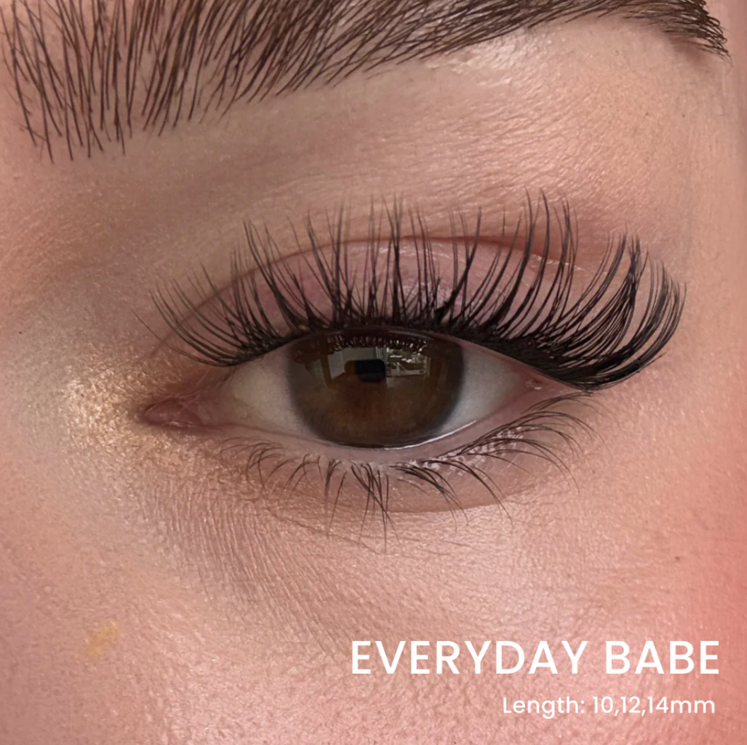 Hera Lash Starter Kit